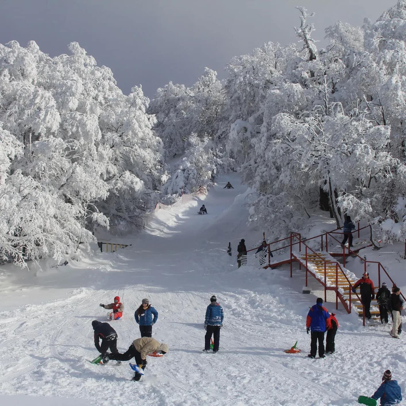 Grupo de personas disfrutan de un gran patio nevado mientras mas personas en trineo finaliza su recorrido