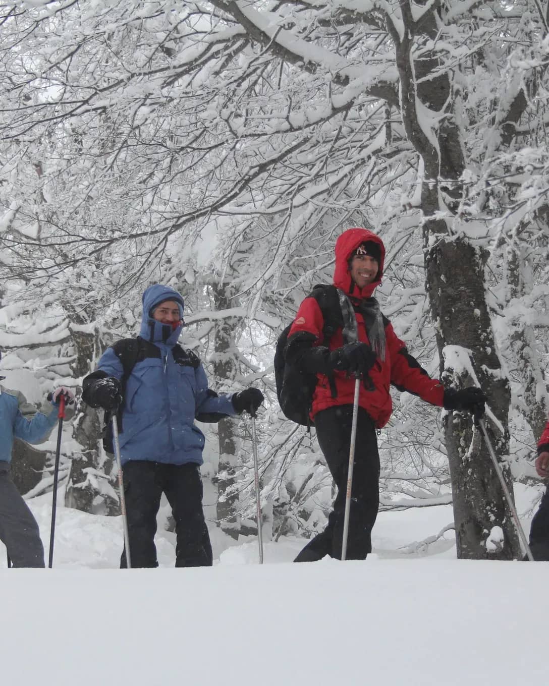 Four people hiking with snowshoes under a snowy forest while accompanied by a guide from the Cerro Otto Cable Car