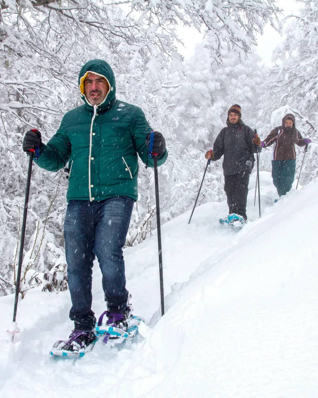 Three people walking with snowshoes and poles on a trail inside the snow-covered forest