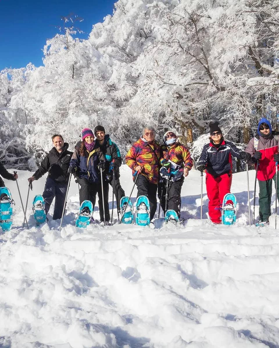 Group of people posing in a snowy forest after completing the excursion